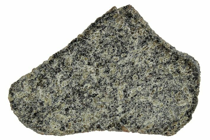 Martian Shergottite Meteorite ( g) Slice - NWA #337549